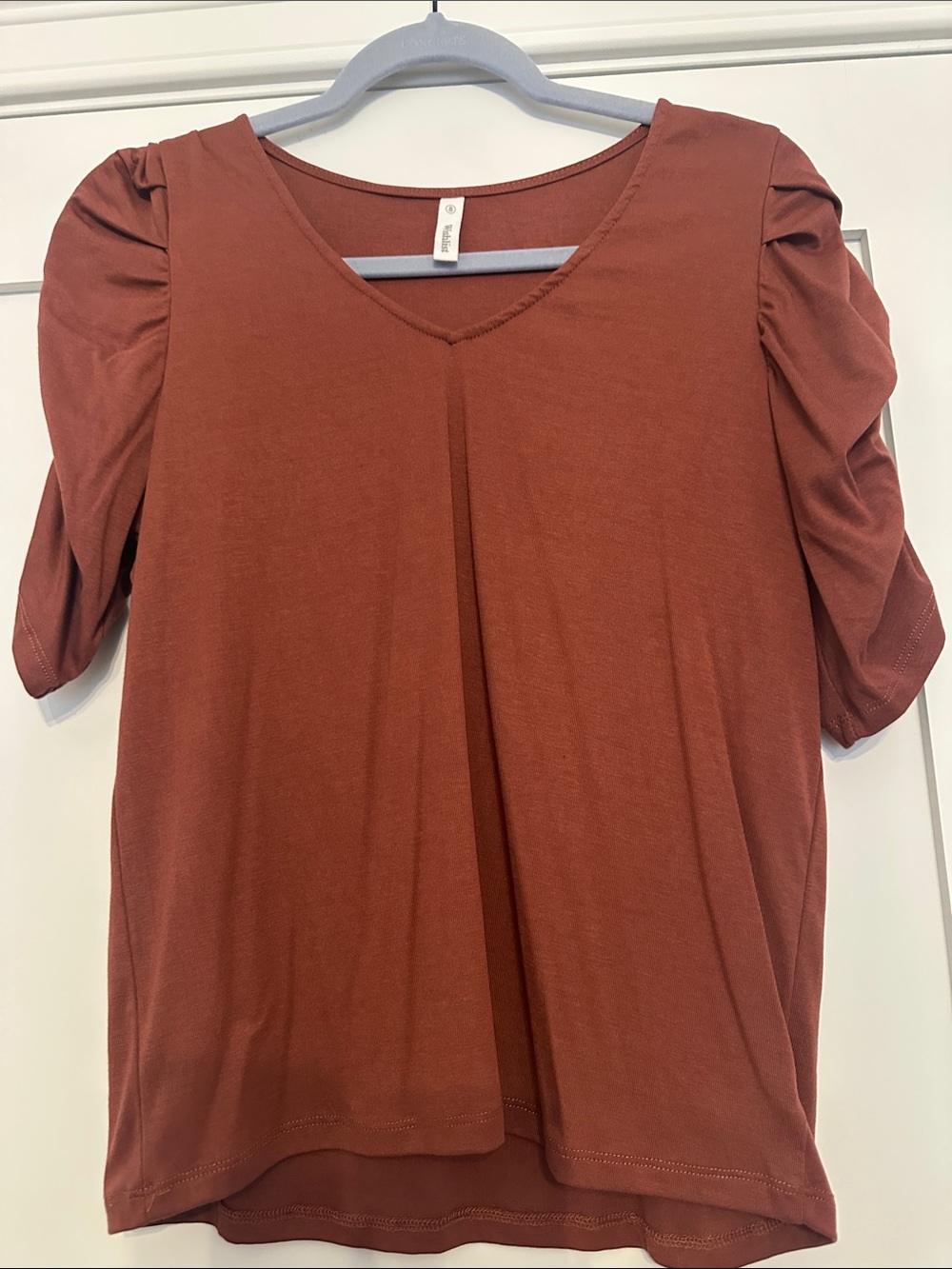 Wishlist V-Neck Short Sleeve Top in Rust Brown